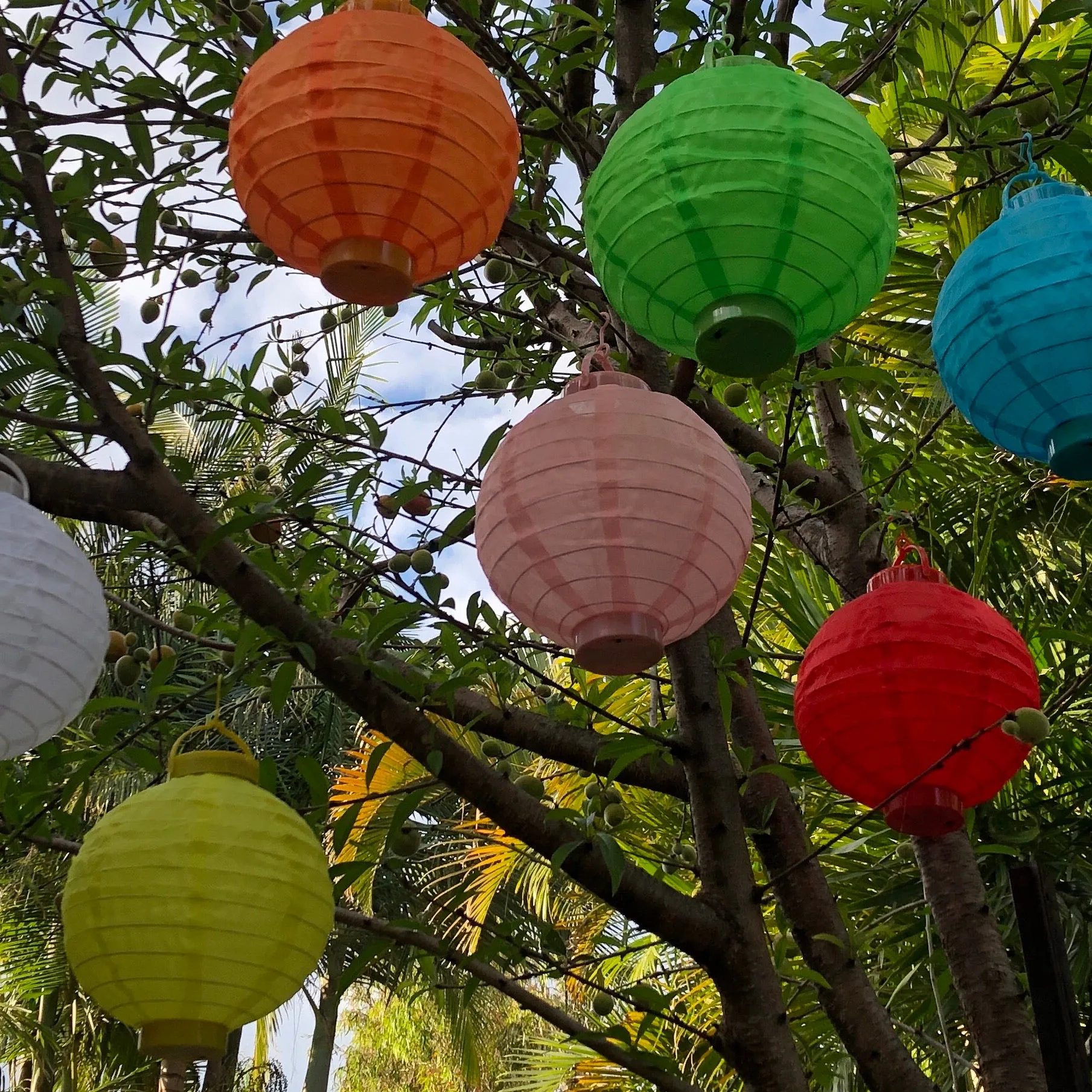 20cm Nylon LED Lantern (lighting included)