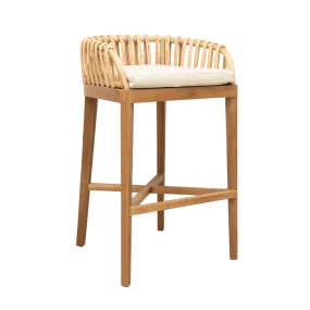 Amara Bar Stool