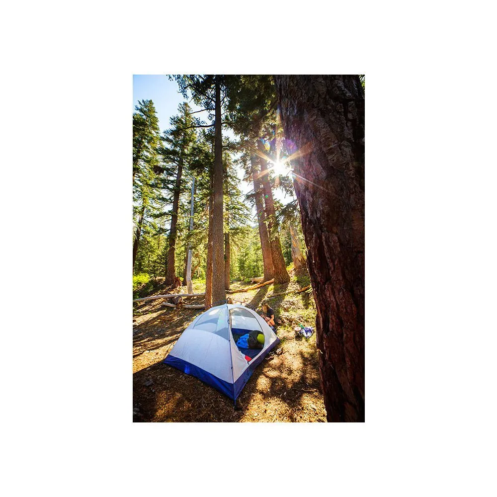 LYNX 2 TENT
